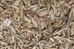 biomass boilers Burrelton